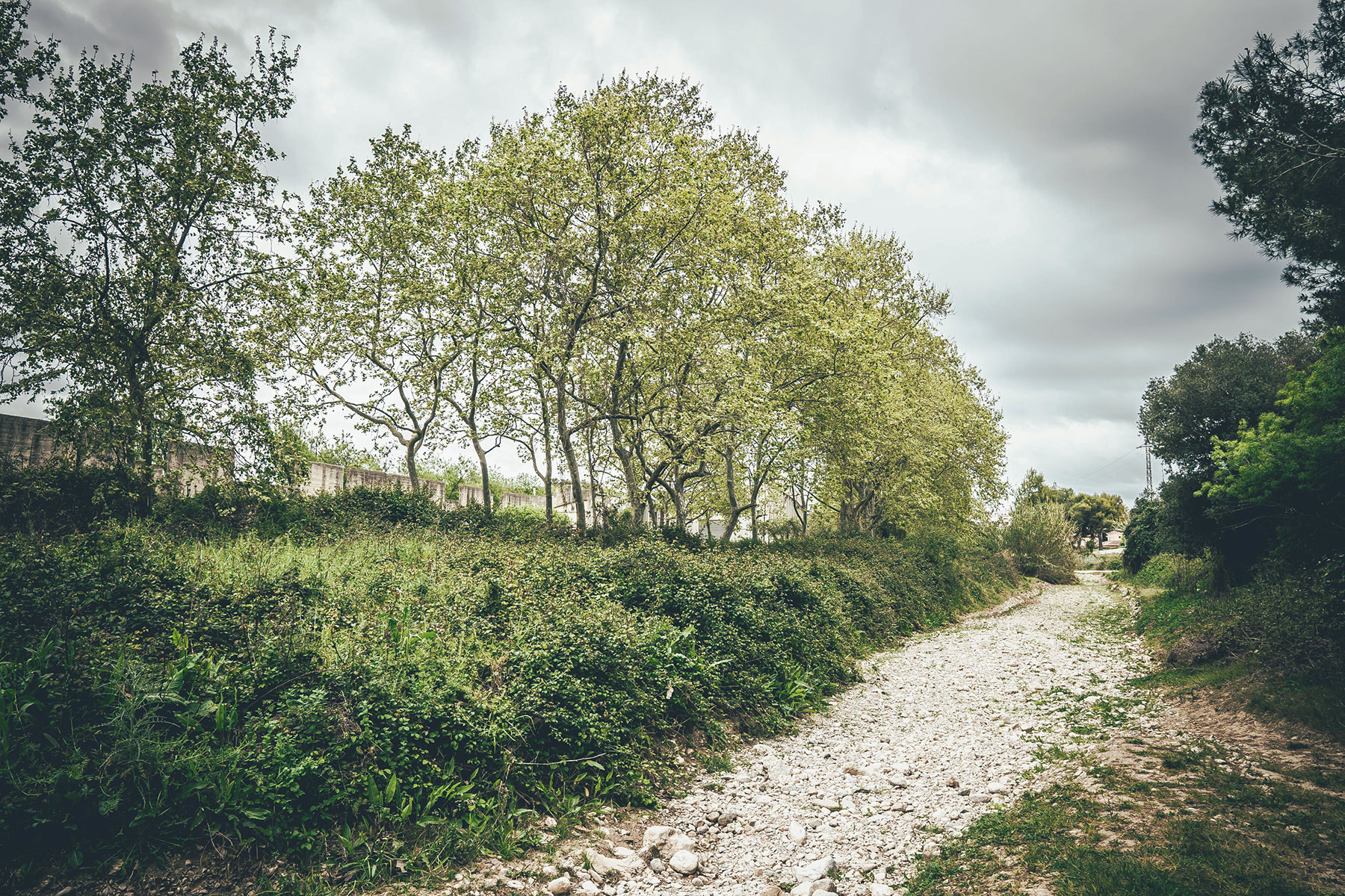 La riera de Ribes al seu pas per la zona de l'Autòrom